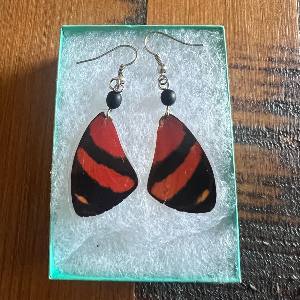 Real Laminated Butterfly Wing Earrings